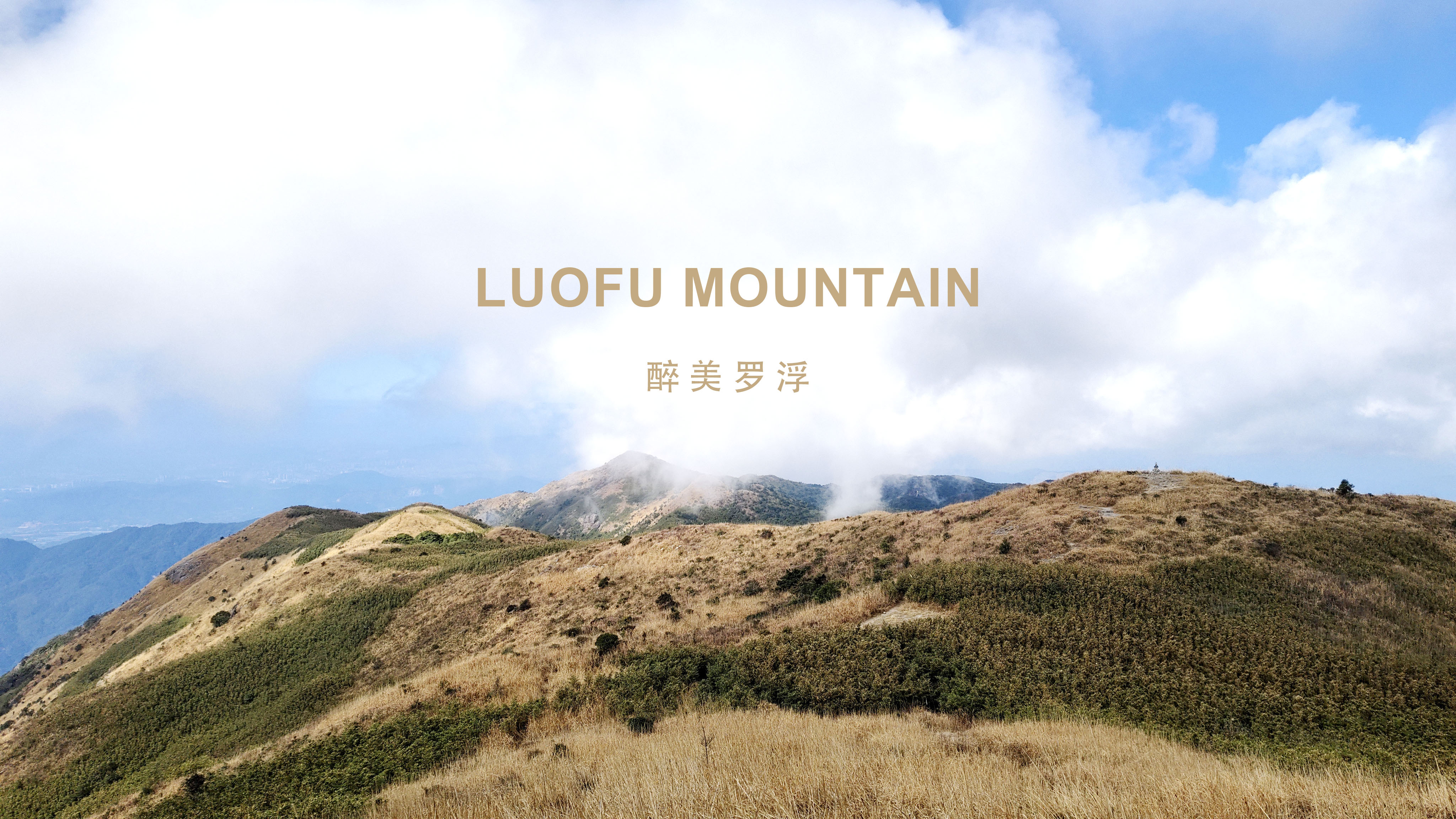 Top Designers Gather in Luofu Mountain to Embark on a Journey of Creative Inspiration!